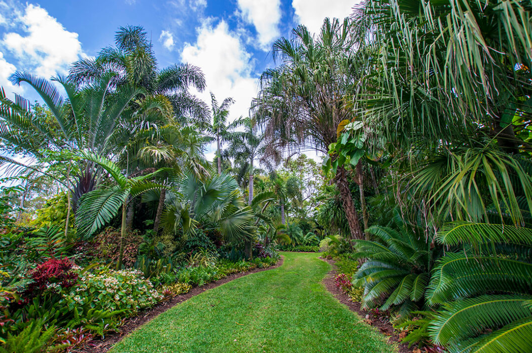 Mounts Botanical